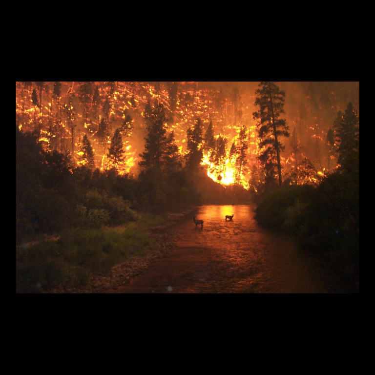 Photo incendie